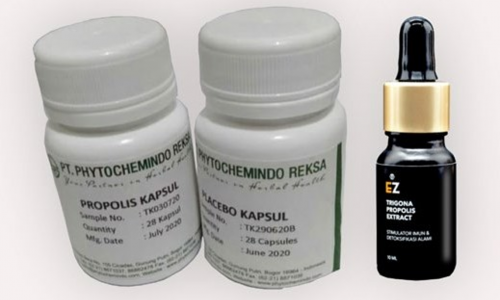 propolis indonesia